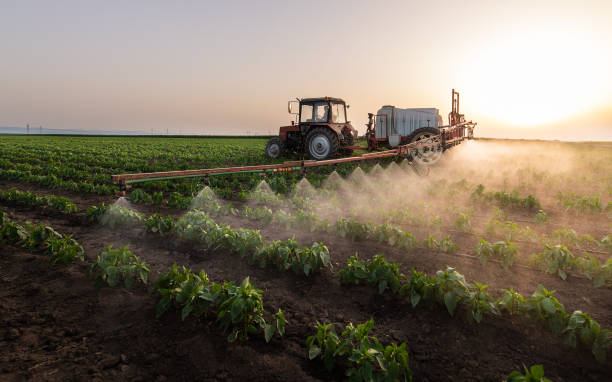 Best Best Pest Control Companies  in Schertz, TX