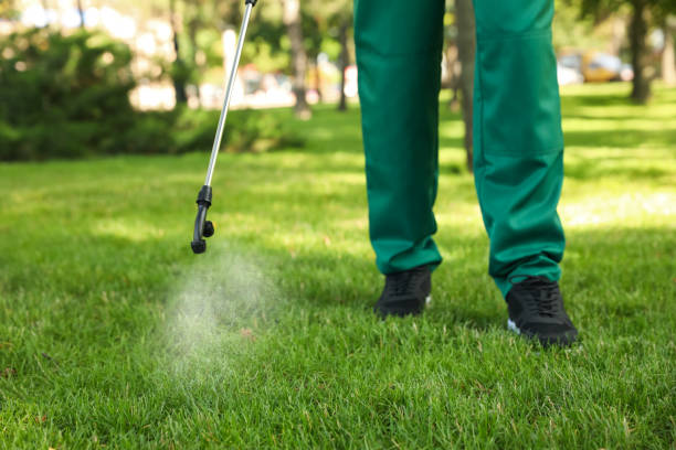 Best Best Pest Control Companies  in Schertz, TX