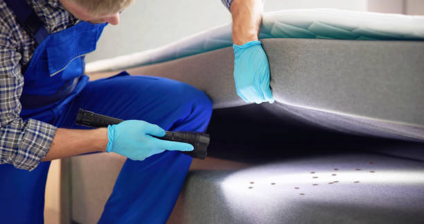 Best Affordable Pest Control Services  in Schertz, TX