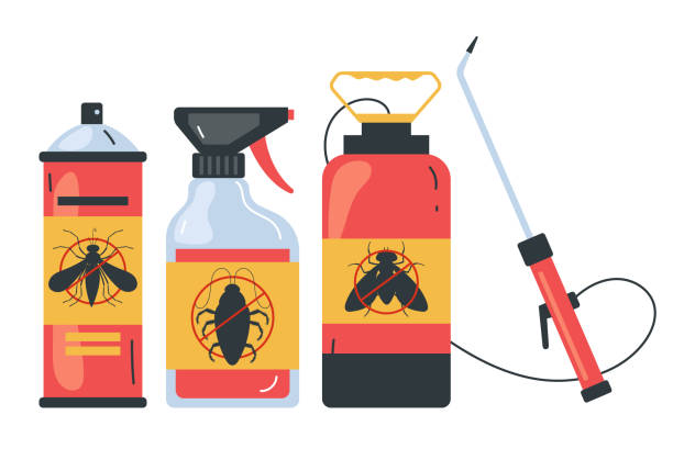 Best Pest Removal Services  in Schertz, TX