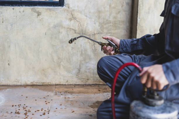 Best Mosquito Control Services  in Schertz, TX