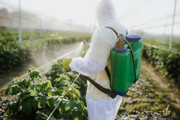Best Residential Pest Control  in Schertz, TX